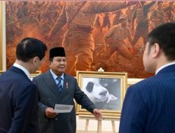 Presiden Prabowo Beri Nama Bayi Panda: Satrio Wiratama, Simbol Keberanian dan Kemuliaan