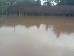 Akses Terputus! Banjir dan Pohon Tumbang Lumpuhkan Sejumlah Wilayah di Way Kanan