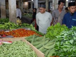 Dongkrak Ekonomi Rakyat BUMDES Lembayung Sepikul Pakusari, Kini Punya Pasar Sendiri