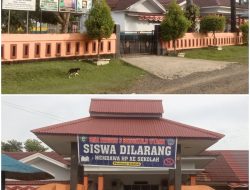 Dua Siswi SMAN 3 di Bengkulu Utara Terlibat Adu Jotos di Dalam Kelas dan Disaksikan Siswa-siswi Lainnya