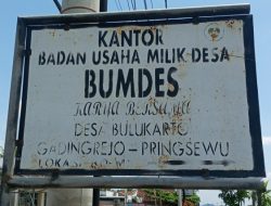 BUMDes Karya Bersama Pekon Bulukarto, Dari Harapan Menjadi Pertanyaan