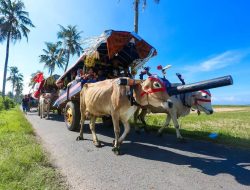 Jumlah Wisatawan Meningkat, Arak-Arakan Pegon Jadi Daya Tarik Wisatawan pada Libur Lebaran di Watu Ulo dan Papuma