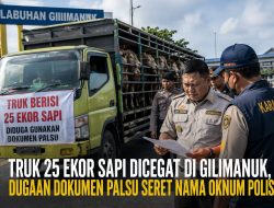 Truk Bermuatan 25 Ekor Sapi Dicegat di Gilimanuk, Dugaan Dokumen Karantina Palsu Seret Nama Oknum Polisi